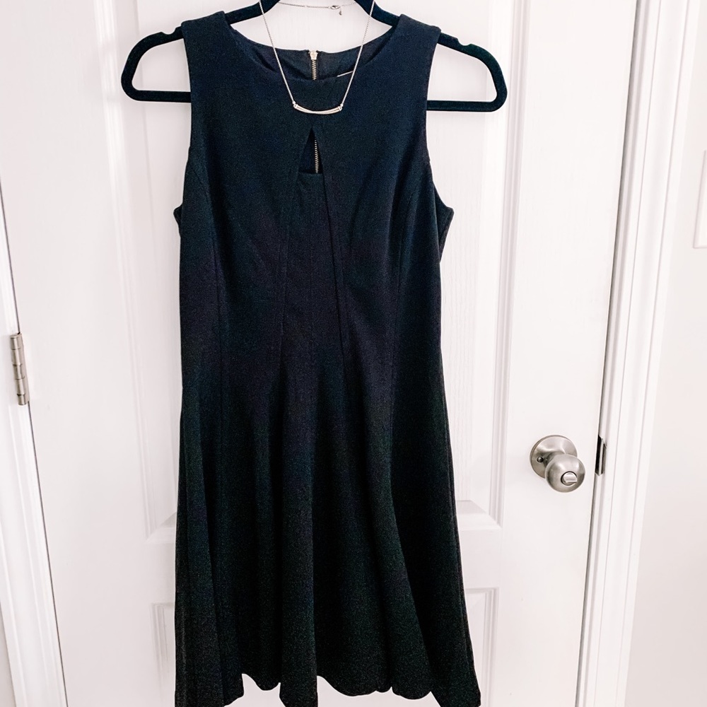 Black fit n flare dress